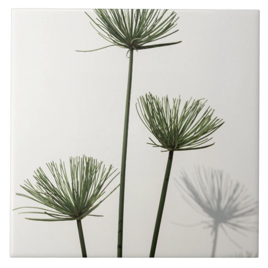 onkruid tegeltje (Voorkant)