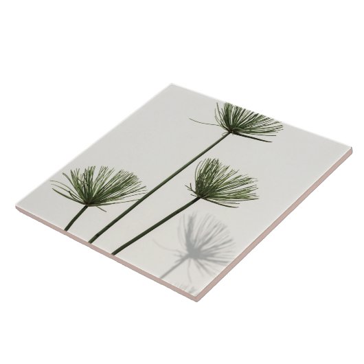 onkruid tegeltje (Zijkant)