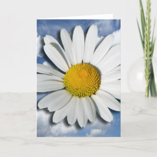 Only a Marguerite Blossom + your text & ideas Kaart