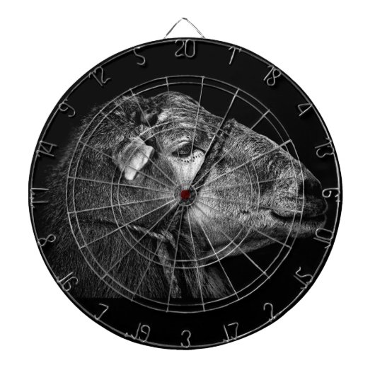onmiddellijk volgend dartbord (Voorkant)