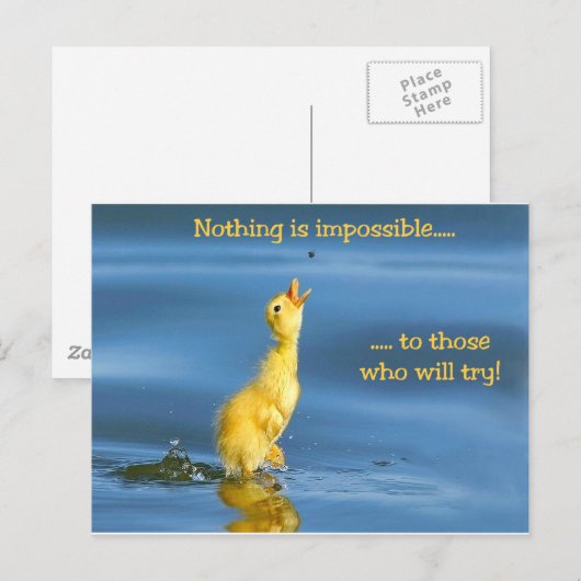 Onmogelijke Duck Briefkaart (Voorkant / Achterkant)