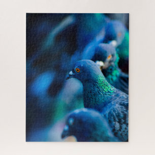 Onmogelijke puzzel - Blauwe duiven