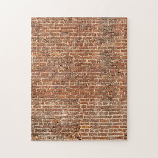 Onmogelijke puzzel - Brick Wall (Verticaal)