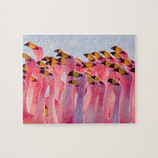 Onmogelijke puzzel - Flamingos Legpuzzel