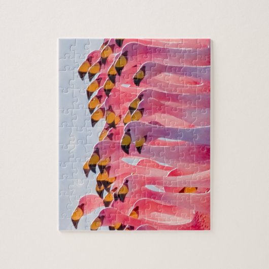 Onmogelijke puzzel - Flamingos Legpuzzel (Verticaal)