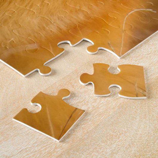 Onmogelijke puzzel - Fox Legpuzzel (Zijkant)