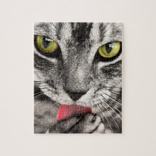 Onmogelijke puzzel - Grijze gestreepte kat