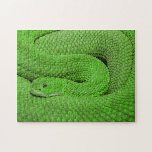 Onmogelijke puzzel - groene slang (Horizontaal)