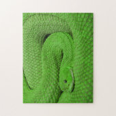 Onmogelijke puzzel - groene slang legpuzzel (Verticaal)