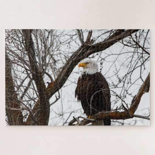 Onmogelijke puzzel - Haliaeetus (Horizontaal)