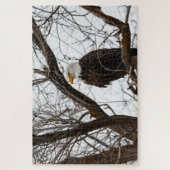 Onmogelijke puzzel - Haliaeetus (Verticaal)