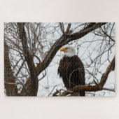 Onmogelijke puzzel - Haliaeetus Legpuzzel (Horizontaal)