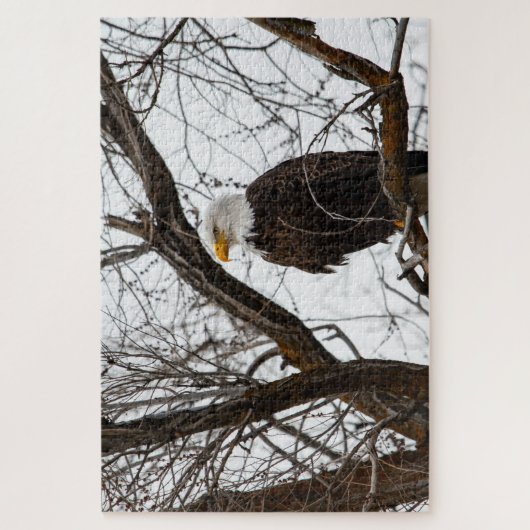 Onmogelijke puzzel - Haliaeetus Legpuzzel (Verticaal)