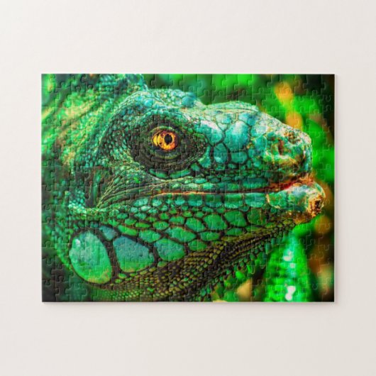 Onmogelijke puzzel - Iguane (Horizontaal)