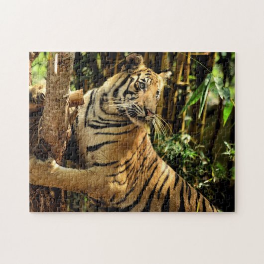 Onmogelijke puzzel - Oerwoud tijger (Horizontaal)