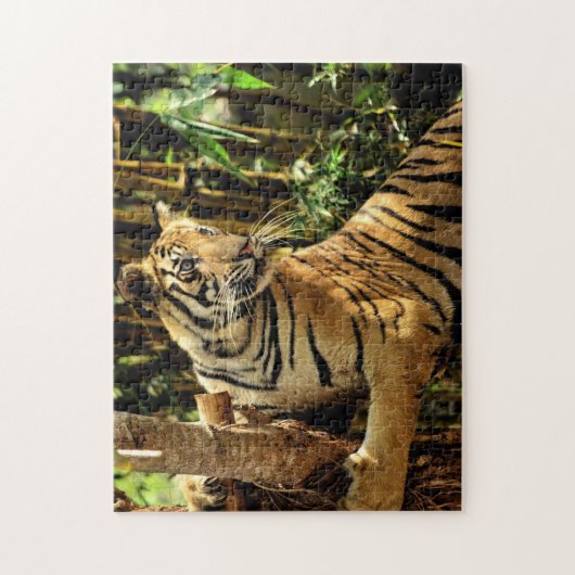 Onmogelijke puzzel - Oerwoud tijger Legpuzzel (Verticaal)