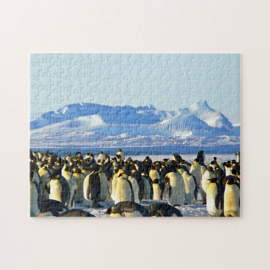 Onmogelijke puzzel - Penguins-kolonie (Horizontaal)