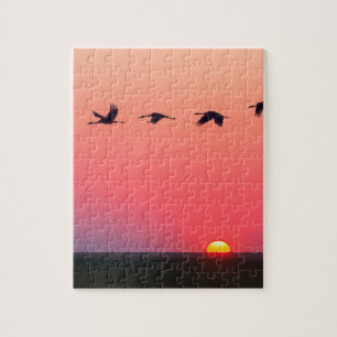 Onmogelijke puzzel - trekvogels