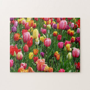 Onmogelijke puzzel - Tulpen