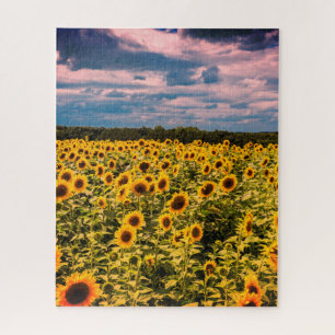 Onmogelijke puzzel - Zonnebloemveld