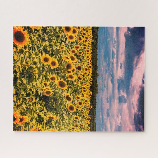 Onmogelijke puzzel - Zonnebloemveld Legpuzzel (Horizontaal)