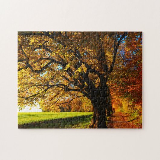 Onmogelijke puzzel - Zonnige herfst (Horizontaal)