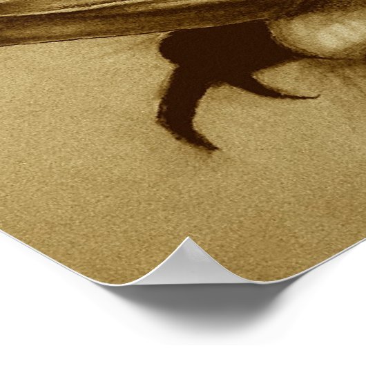 onnatuurlijke selectie poster (Hoek)