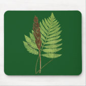Onoclea Sensibilis (Sensitive Fern) fernenblad Muismat (Voorkant)