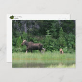 Ononderbroken tijd briefkaart (Voorkant / Achterkant)