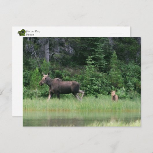 Ononderbroken tijd briefkaart (Voorkant / Achterkant)