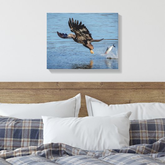 Onrijpe Bald Eagle die een vis laat vallen Canvas Afdruk (Insitu (Slaapkamer))