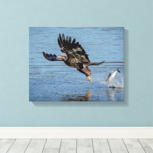 Onrijpe Bald Eagle die een vis laat vallen Canvas Afdruk (Insitu (Houten vloer))