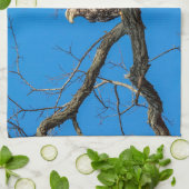 Onrijpe Bald Eagle in Peekskills, NY Theedoek (Gevouwen)