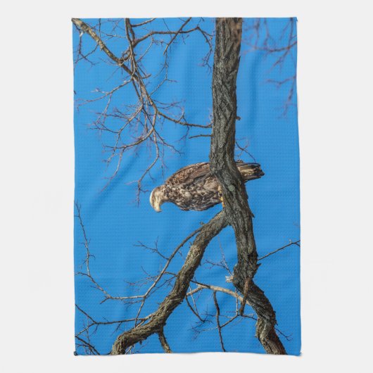 Onrijpe Bald Eagle in Peekskills, NY Theedoek (Verticaal)