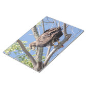 Onrijpe Bald Eagle met een Catfish Notitieblok (Schuin)