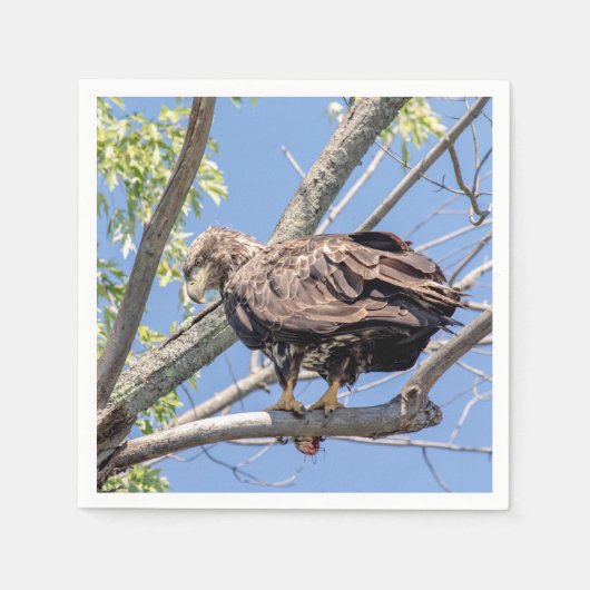 Onrijpe Bald Eagle met een Catfish Servetten (Voorkant)