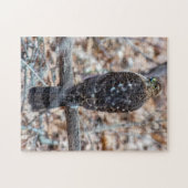 Onrijpe Cooper's Hawk Puzzle Legpuzzel (Horizontaal)