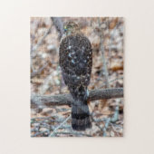 Onrijpe Cooper's Hawk Puzzle Legpuzzel (Verticaal)