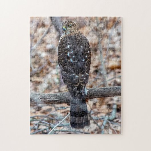 Onrijpe Cooper's Hawk Puzzle Legpuzzel (Verticaal)