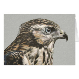 Onrijpe Goshawk-kaart