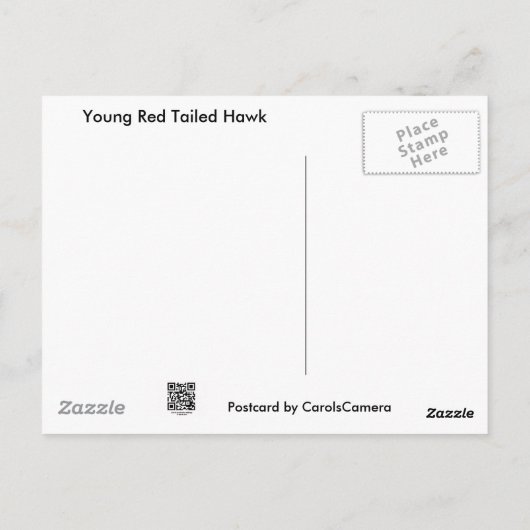 Onrijpe Red Tailed Hawk-coördinerende items Briefkaart (Achterkant)