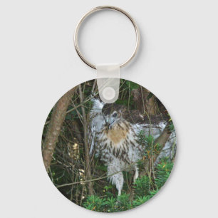 Onrijpe Red Tailed Hawk-coördinerende items Sleutelhanger