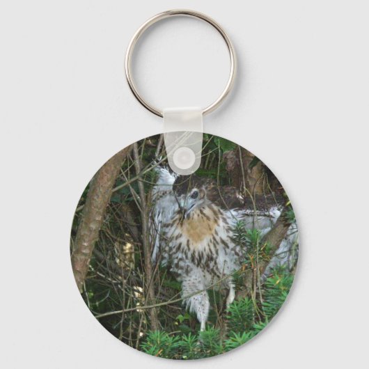 Onrijpe Red Tailed Hawk-coördinerende items Sleutelhanger (Voorkant)