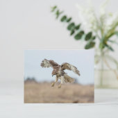 Onrijpe Rode Hawk Hovering Briefkaart (Staand voorkant)