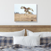 Onrijpe Rode Hawk Hovering Canvas Afdruk (Insitu (Slaapkamer))