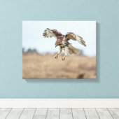 Onrijpe Rode Hawk Hovering Canvas Afdruk (Insitu (Houten vloer))