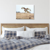 Onrijpe Rode Hawk Hovering Canvas Afdruk (Insitu (Slaapkamer))