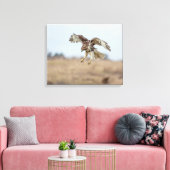 Onrijpe Rode Hawk Hovering Canvas Afdruk (Insitu (Woonkamer))