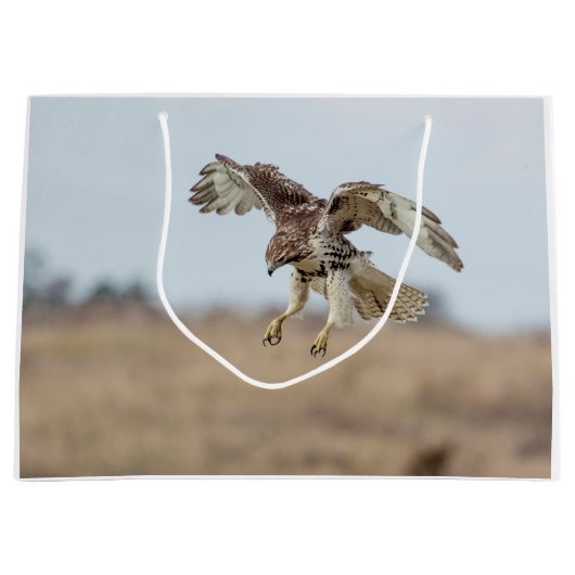Onrijpe Rode Hawk Hovering Large Cadeautasje (Voorkant)