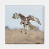 Onrijpe Rode Hawk Hovering Magneet (Voorkant)
